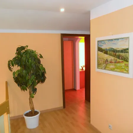Schmitt 3*