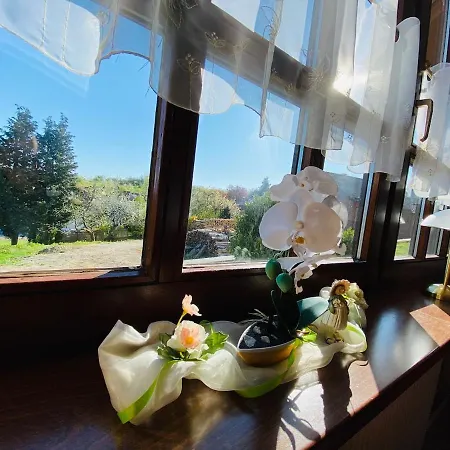 Schmitt Konukevi Waldfenster