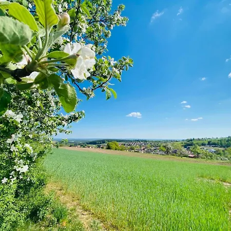 Schmitt 3* Waldfenster
