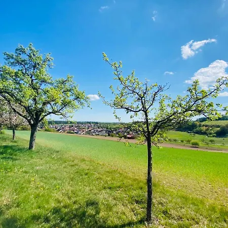 Schmitt Waldfenster