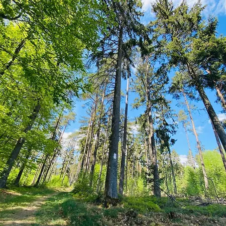 Konukevi Schmitt Waldfenster