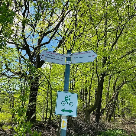 Schmitt Konukevi Waldfenster