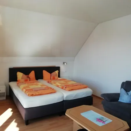Schmitt * Waldfenster