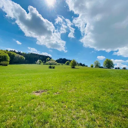Schmitt Pensionat Waldfenster