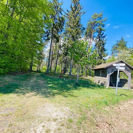 Schmitt * Waldfenster