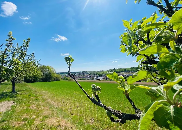 게스트하우스 Schmitt 3*