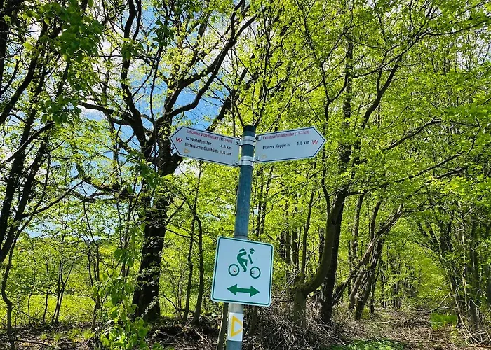 Schmitt 게스트하우스 Waldfenster