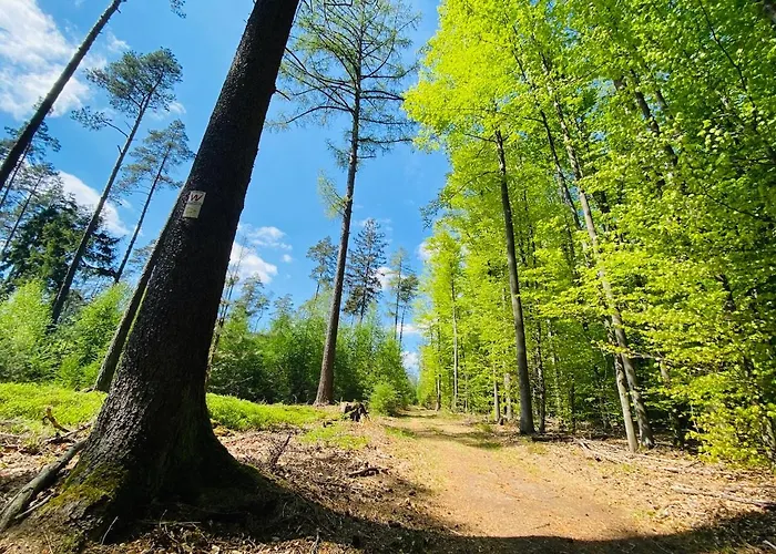 게스트하우스 Schmitt