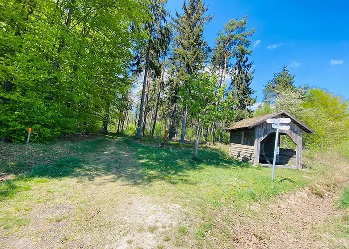 Schmitt 3* Waldfenster